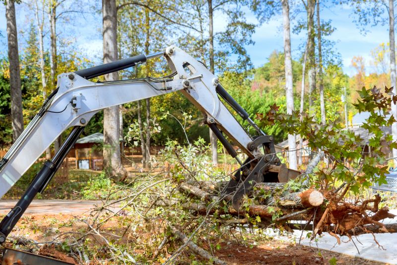Increase Your Land Clearing Business with an AI Driven, Targeted Website