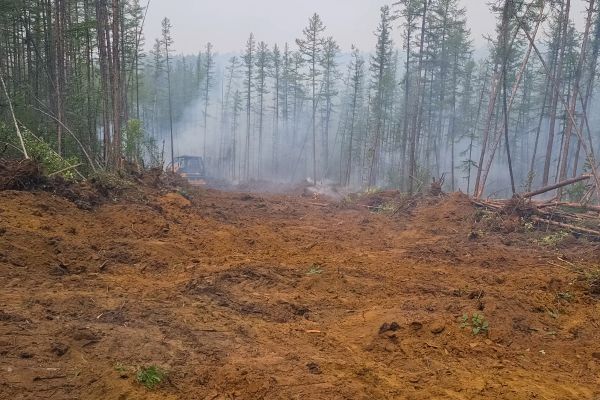 Cost of Hill Clearing in Mechanicsville