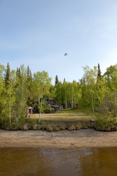 Cost of Waterfront Land Clearing in Mechanicsville