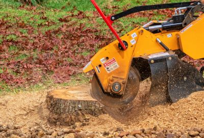 Stump Grinding Services